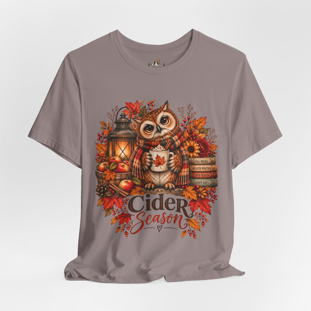 Cider Season Owl Shirt | Cozy Fall Shirt | Autumn Owl Graphic Tee | Cute Cider Season Shirt | Pumpkin Spice Fall Tee